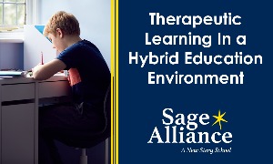 Therapeutic Learning in a Hybrid Education Environment