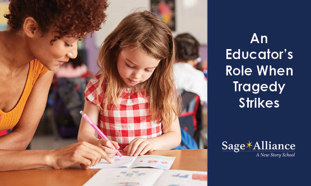 sa an educators role cover image