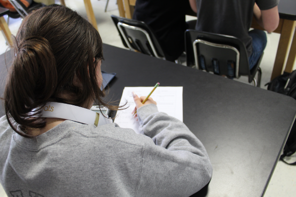 Student Writing